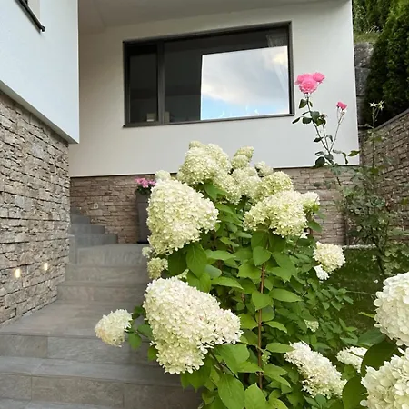 Alpenloft 204 Apartment *