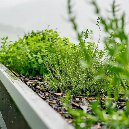 Alpenloft 204, Neu Ab 2025 * פורסטאו