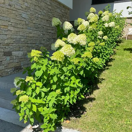 דירה Alpenloft 204, Neu Ab 2025