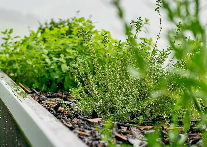 Alpenloft 204, Neu Ab 2025 * 포르슈타우