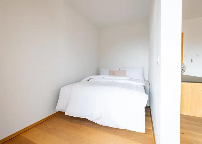 Διαμέρισμα Alpenloft 204, Neu Ab 2025 Forstau (Salzburg)